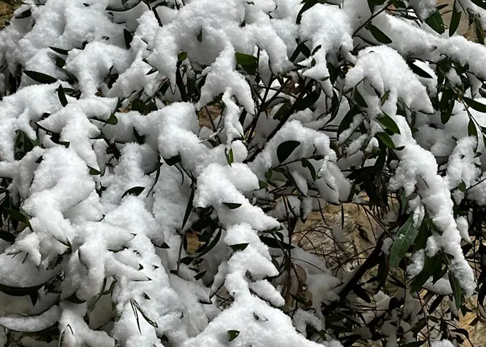 D'hotes Logis De Saint Jean Bayeux