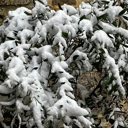 D'hotes Logis De Saint Jean Bayeux