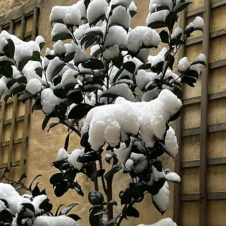 D'hotes Logis De Saint Jean バイユー