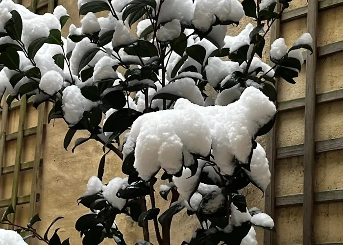 D'hotes Logis De Saint Jean バイユー